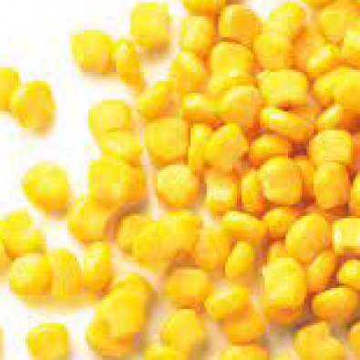 MAÏS EN GRAINS